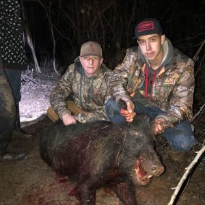 Meet your Posher, Jake